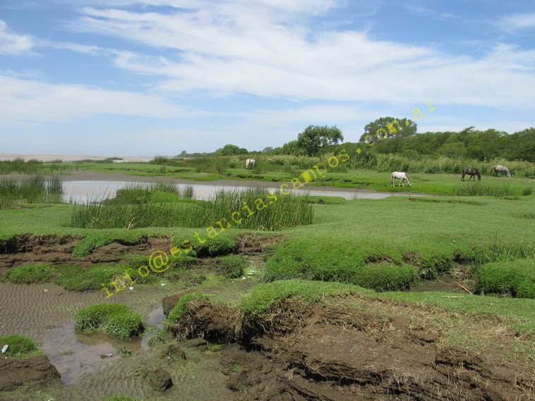 75+19 ha. en Magdalena (BA)