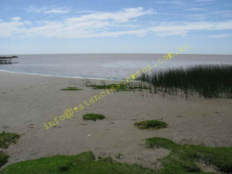 75+19 ha. en Magdalena (BA)