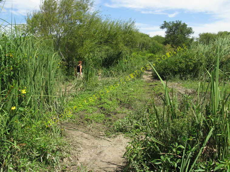 75+19 ha. en Magdalena (BA)