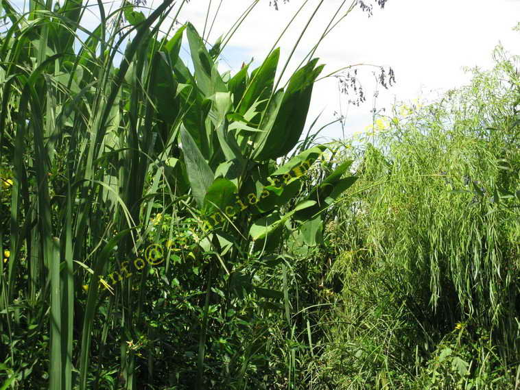 75+19 ha. en Magdalena (BA)