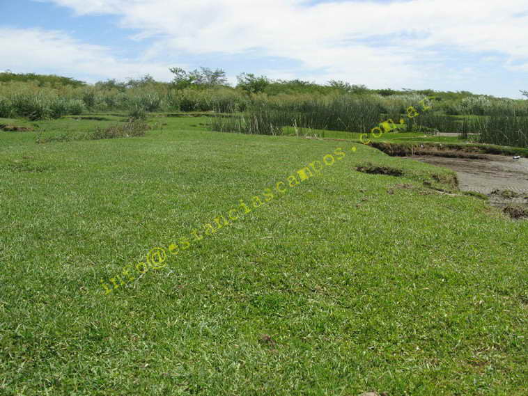 75+19 ha. en Magdalena (BA)