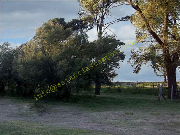 958 ha. en Saavedra (Buenos Aires)
