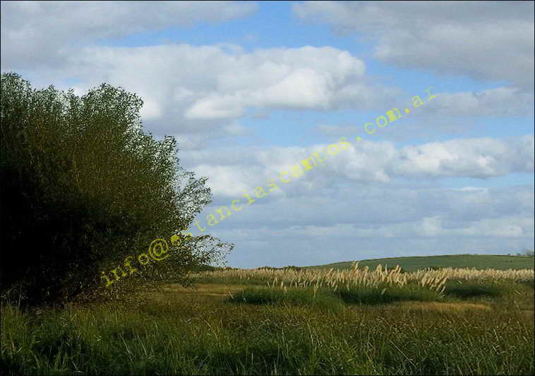 958 ha. en Saavedra (Buenos Aires)