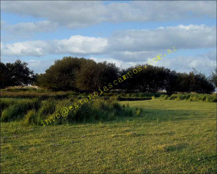 958 ha. en Saavedra (Buenos Aires)