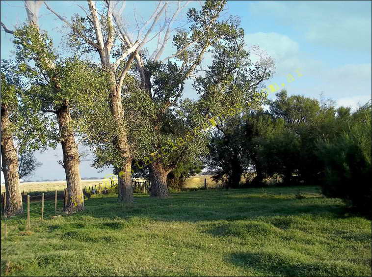 958 ha. en Saavedra (Buenos Aires)