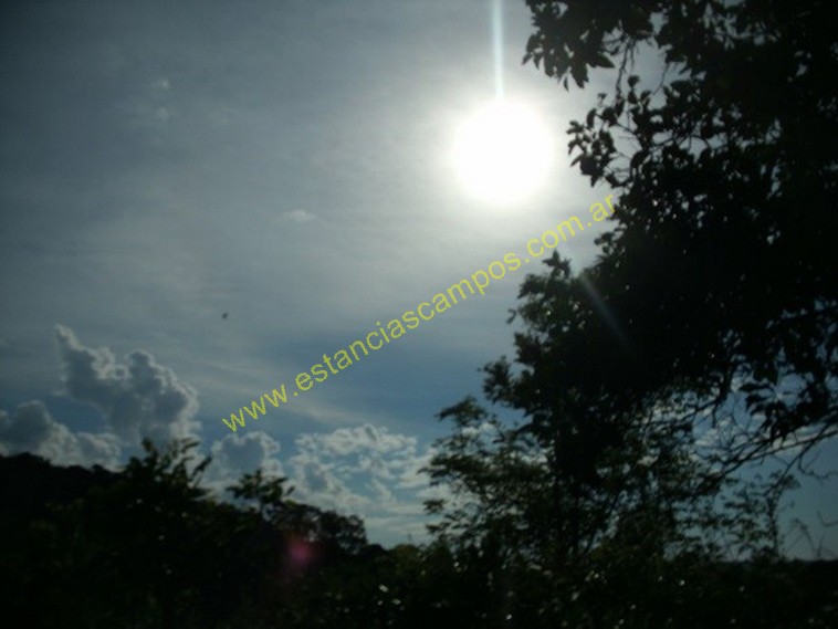 25 hect�reas en Campo Grande  (Misiones)