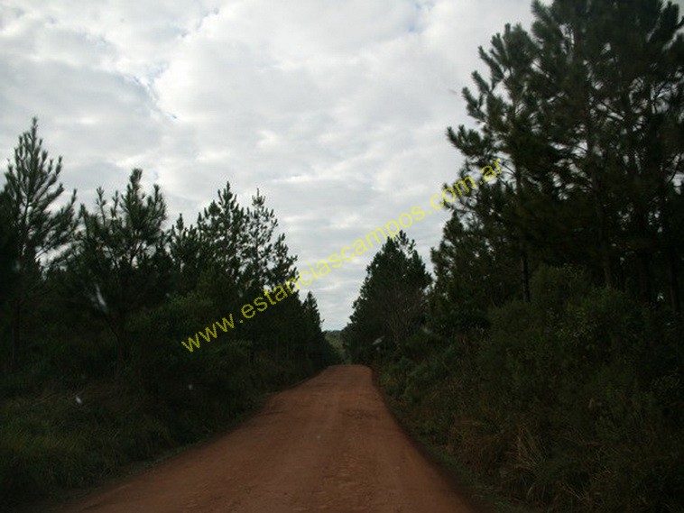 25 hect�reas en Campo Grande  (Misiones)