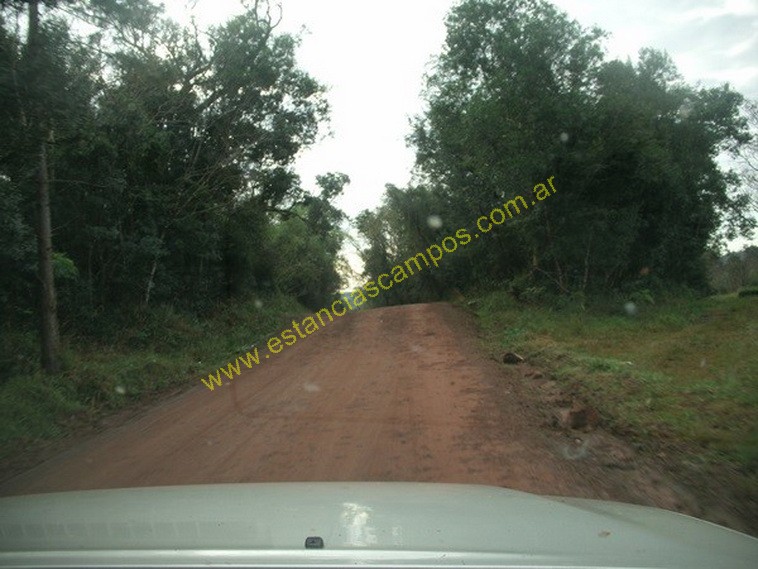 25 hect�reas en Campo Grande  (Misiones)