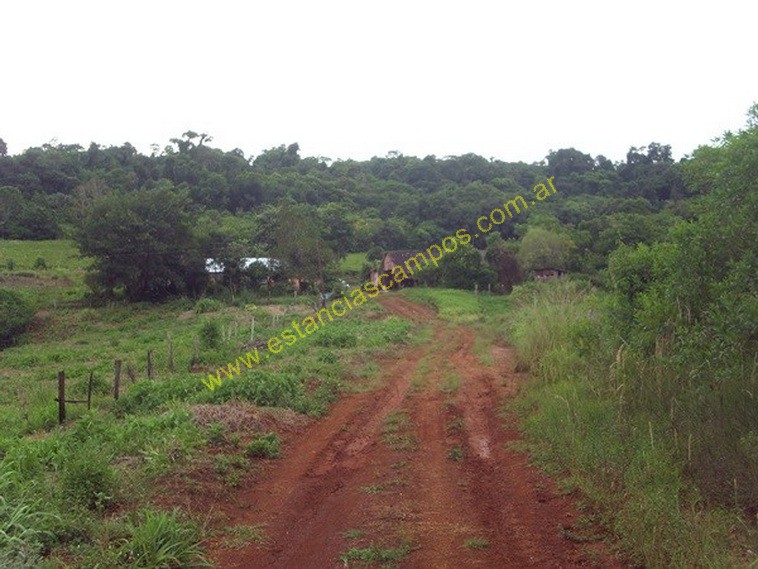 25 hect�reas en Campo Grande  (Misiones)