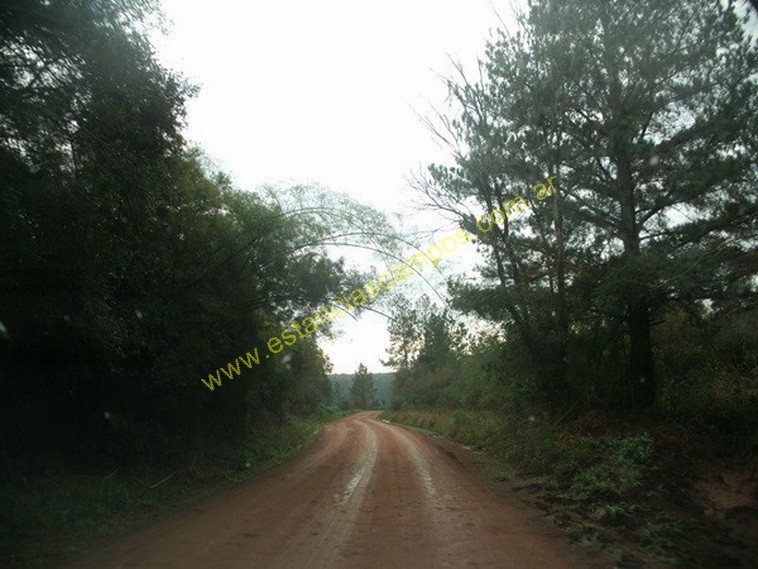 25 hect�reas en Campo Grande  (Misiones)