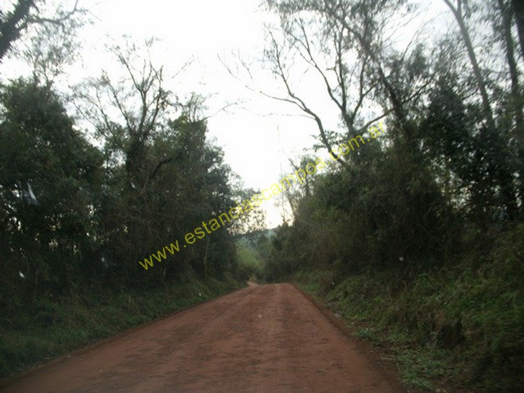 25 hect�reas en Campo Grande  (Misiones)