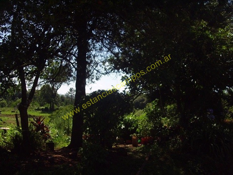 25 hect�reas en Campo Grande  (Misiones)