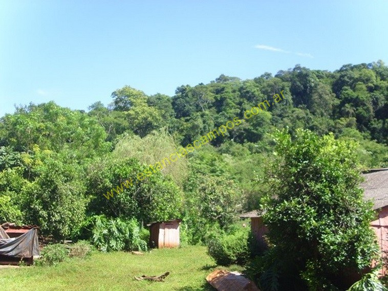 25 hect�reas en Campo Grande  (Misiones)