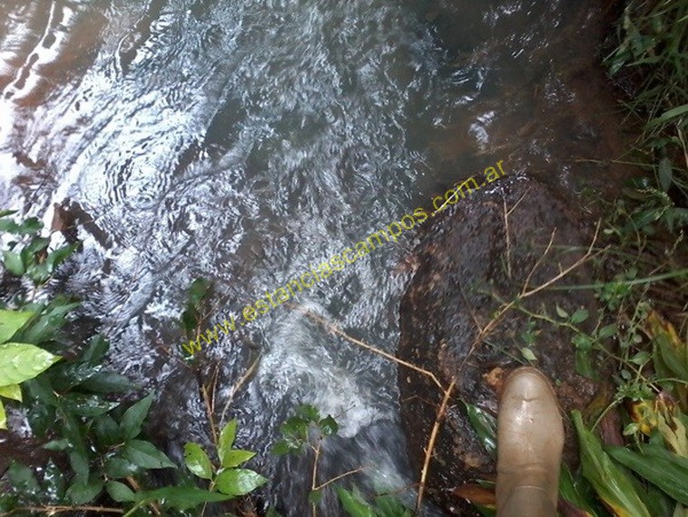 25 hect�reas en Campo Grande  (Misiones)