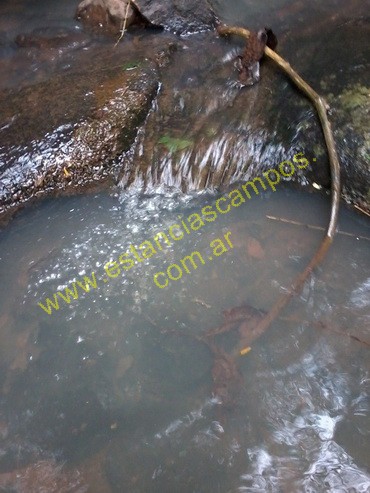 25 hect�reas en Campo Grande  (Misiones)