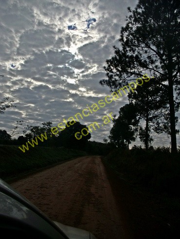 25 hect�reas en Campo Grande  (Misiones)