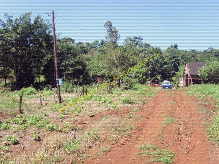 25 hect�reas en Campo Grande  (Misiones)