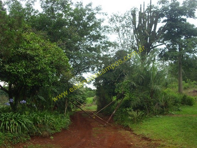 25 hect�reas en Campo Grande  (Misiones)