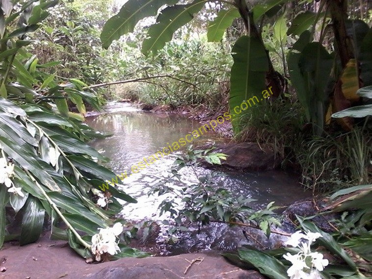 25 hect�reas en Campo Grande  (Misiones)