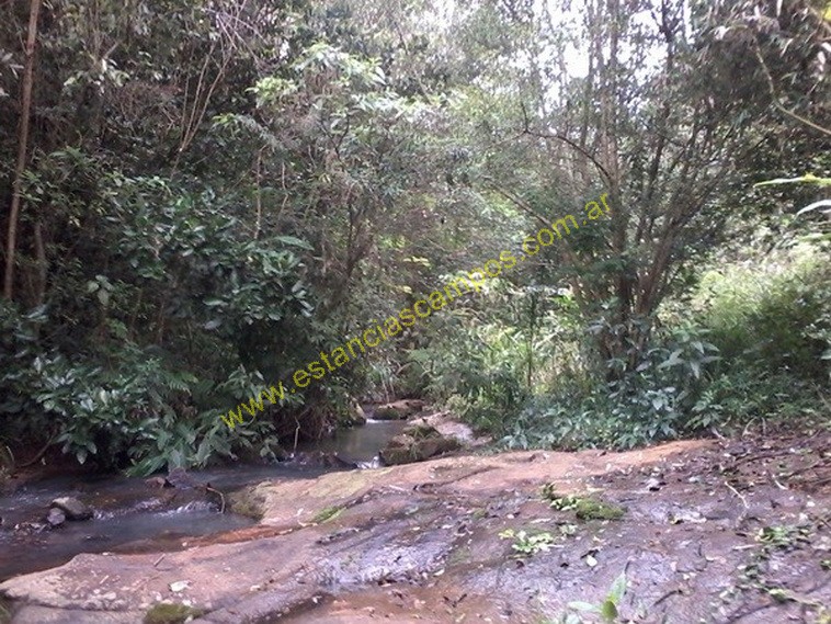 25 hect�reas en Campo Grande  (Misiones)