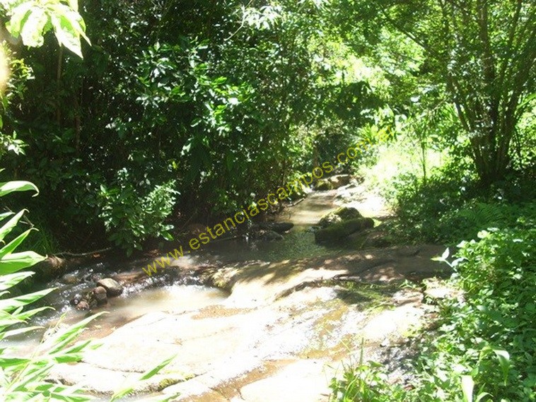 25 hect�reas en Campo Grande  (Misiones)