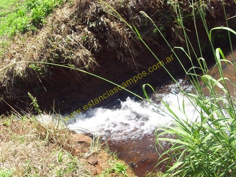 25 hect�reas en Campo Grande  (Misiones)