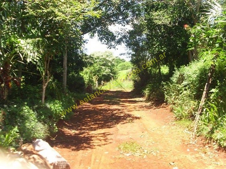 25 hect�reas en Campo Grande  (Misiones)