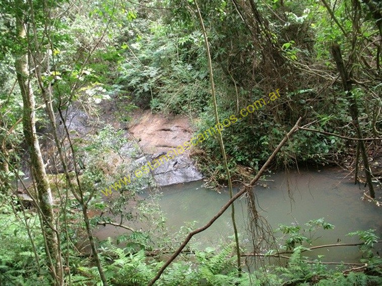 25 hect�reas en Campo Grande  (Misiones)