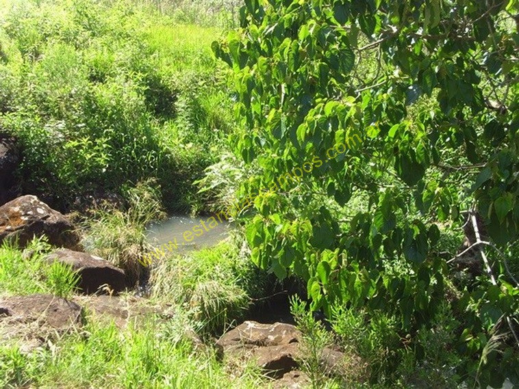 25 hect�reas en Campo Grande  (Misiones)