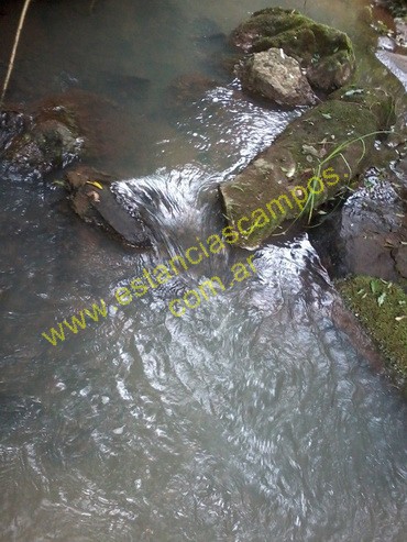 25 hect�reas en Campo Grande  (Misiones)