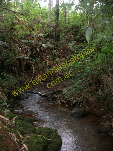 25 hect�reas en Campo Grande  (Misiones)