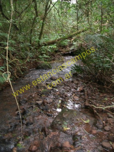 25 hect�reas en Campo Grande  (Misiones)