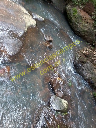 25 hect�reas en Campo Grande  (Misiones)