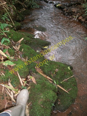 25 hect�reas en Campo Grande  (Misiones)