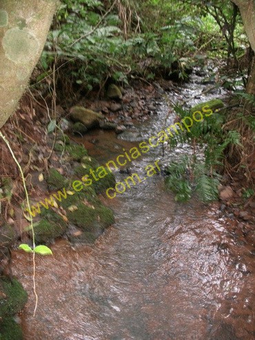 25 hect�reas en Campo Grande  (Misiones)