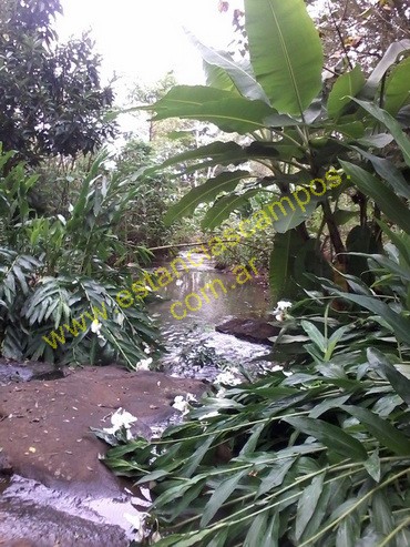 25 hect�reas en Campo Grande  (Misiones)