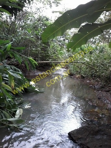 25 hect�reas en Campo Grande  (Misiones)