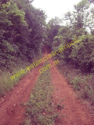 25 hect�reas en Campo Grande  (Misiones)