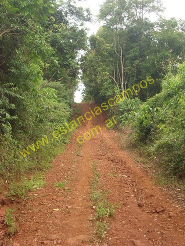 25 hect�reas en Campo Grande  (Misiones)