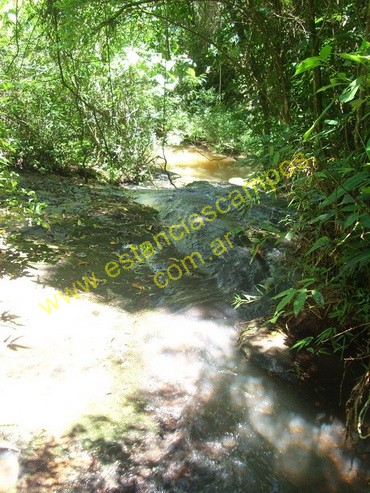 25 hect�reas en Campo Grande  (Misiones)