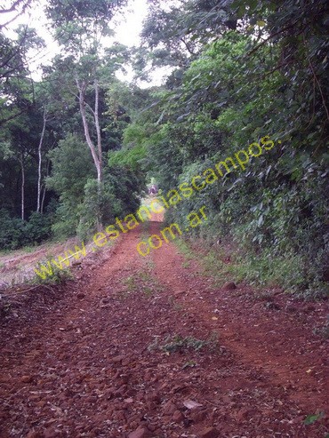 25 hect�reas en Campo Grande  (Misiones)