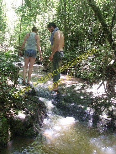 25 hect�reas en Campo Grande  (Misiones)