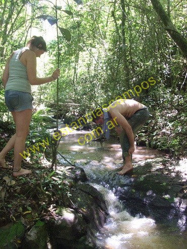 25 hect�reas en Campo Grande  (Misiones)