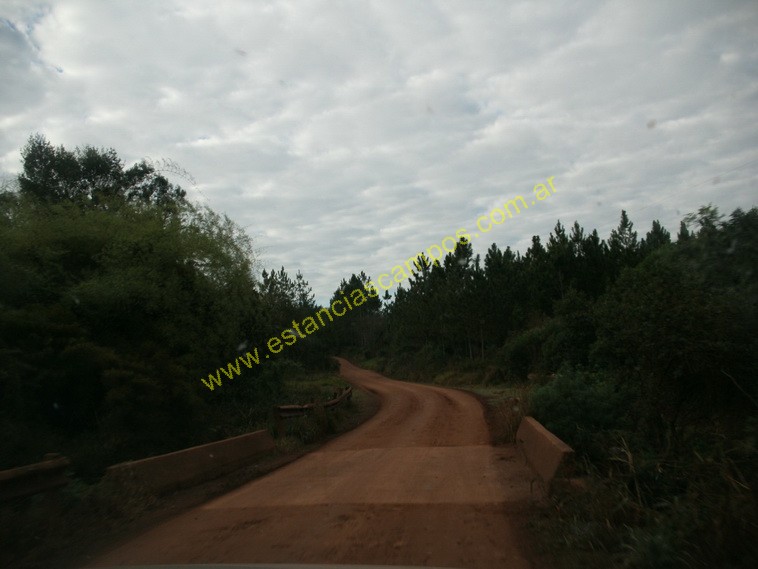 25 hect�reas en Campo Grande  (Misiones)