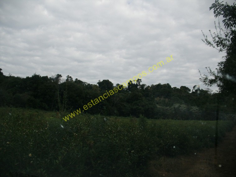 25 hect�reas en Campo Grande  (Misiones)