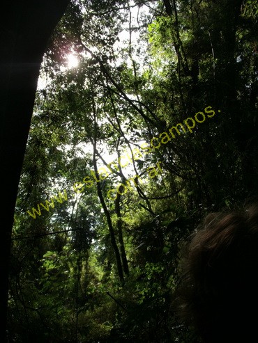 25 hect�reas en Campo Grande  (Misiones)