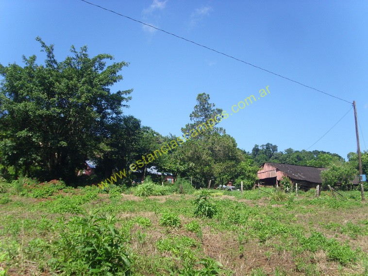 25 hect�reas en Campo Grande  (Misiones)