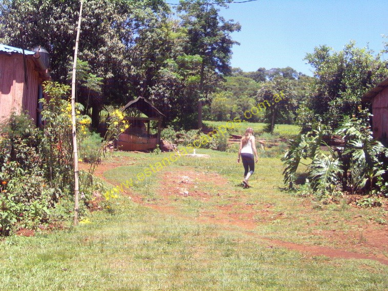 25 hect�reas en Campo Grande  (Misiones)