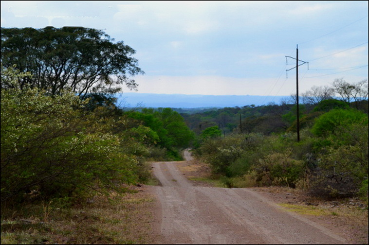 1450 Candelaria (SL)