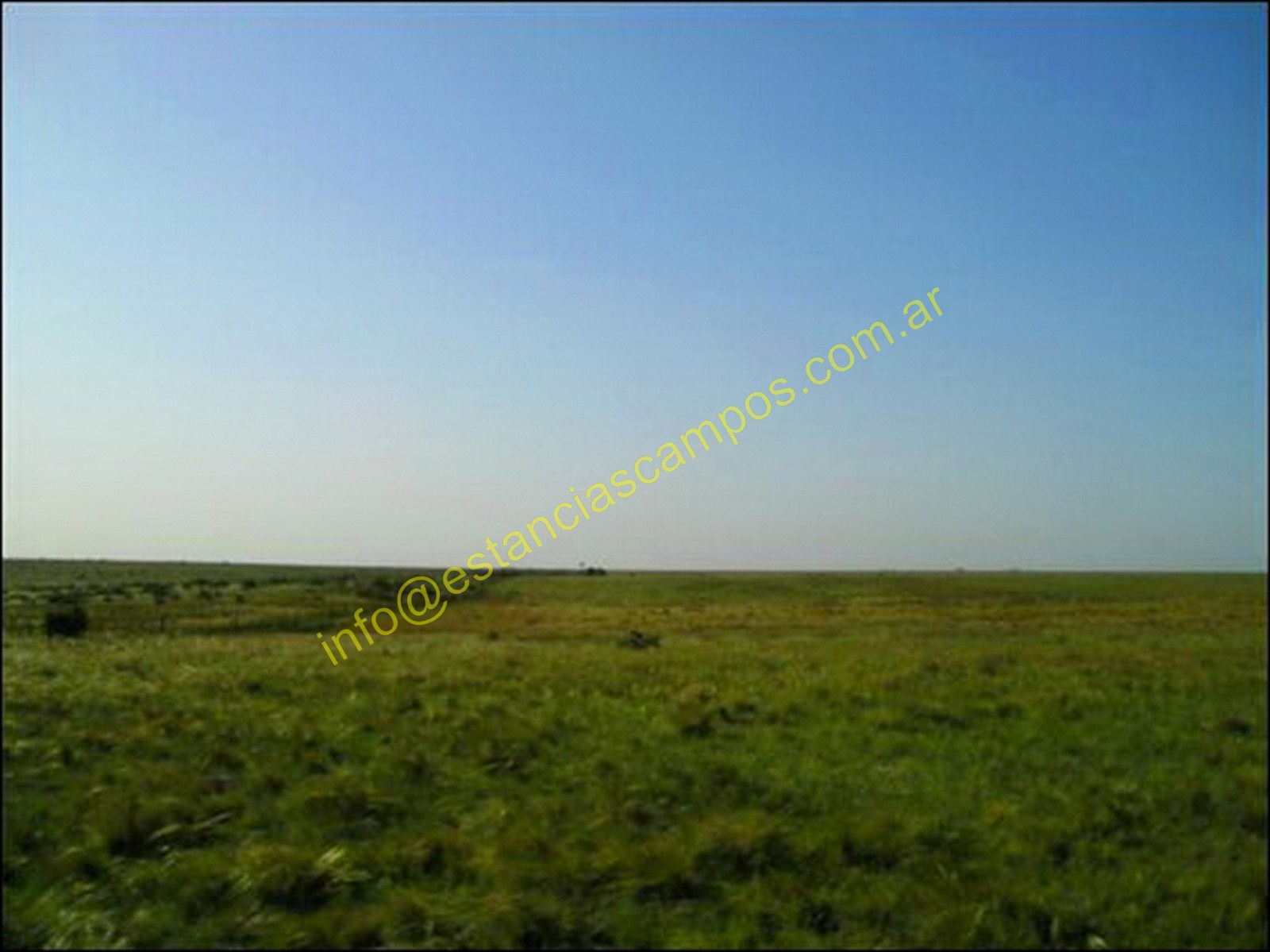1662 ha en Puan (BA)
